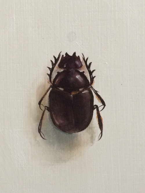 idazwells:Beetle close up, with ghost of small amethyst. Oil on woodIda Floreak 2015