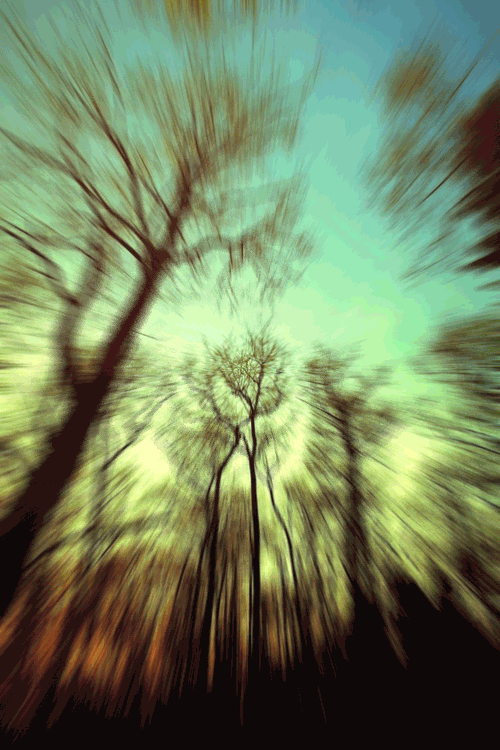 A Bad Trip or A Real Good One | via Tumblr on We Heart It http://weheartit.com/entry/81010974/via/Opticoverload