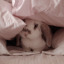mlmbunny