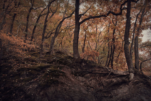 nevver:  Burg Eltz, Fabian Krueger 