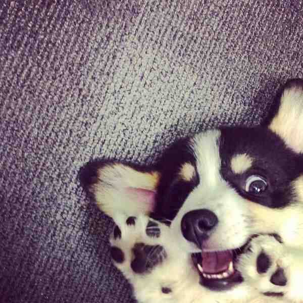 &ldquo;HI!&rdquo;