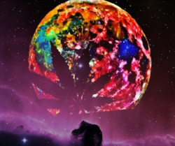 obeytheprophecy:  ▲ obey the prophecy ▲ the door to wonderland