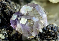 underthescopemin:  Fluorite Photo  by Matteo