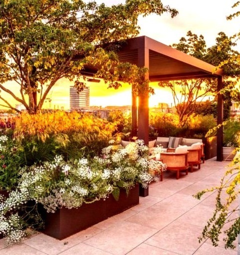 Deck Rooftop In LondonAn Illustration Of A Medium-sized Minimalist Rooftop Deck With A Pergola