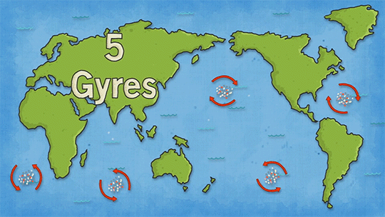 Ocean Portal 7 Underwater Facts For World Oceans Day