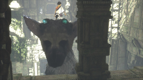 gamefreaksnz:   					The Last Guardian confirmed for PS4, new gameplay footage and screens					The Last Guardian returns to E3 six years on from its stunning announcement trailer.View the new gameplay footage here. 