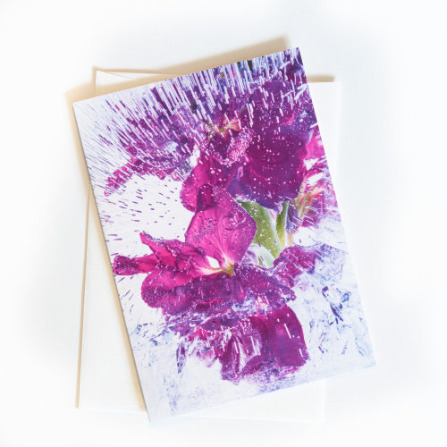 Blank note card w/ envelope. Fine Art Photography Blank Greeting Card for all occasions - 5"x7&