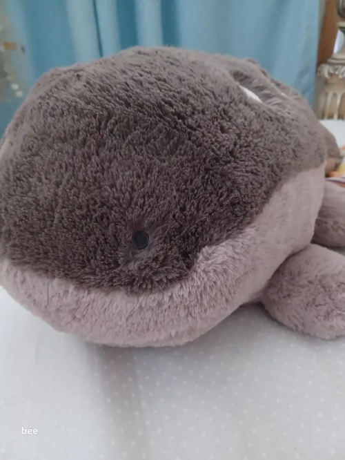 Quagsire And Clodsire Collection Is Growing!