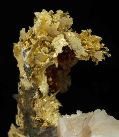 Gold (variety electrum) with Calcite - R.J. Roberts lode, Nevada