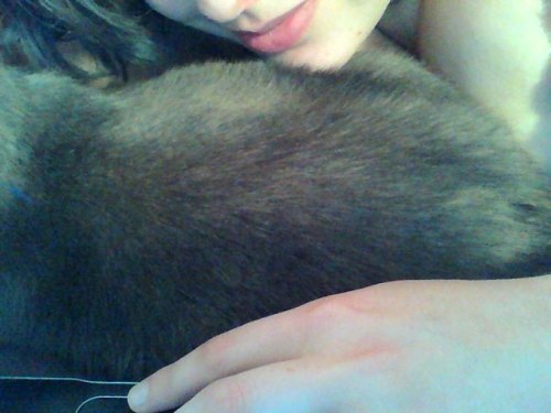 2soft2sensitive: oliver has wedged himself in between me and my laptop so i HAVE to snuggle him tumb