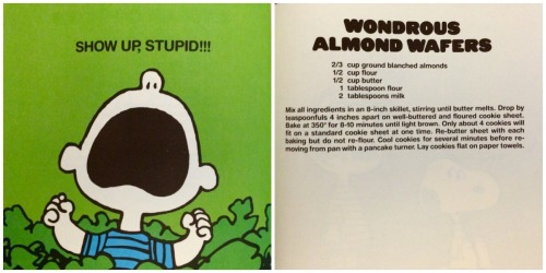 zgmfd:  Great Pumpkin Cookbook, Charles Schulz & June Dutton (United Feature Syndicate/Determined Productions 1981) 