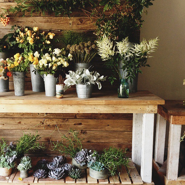 floricaly:  indie ✌  modern