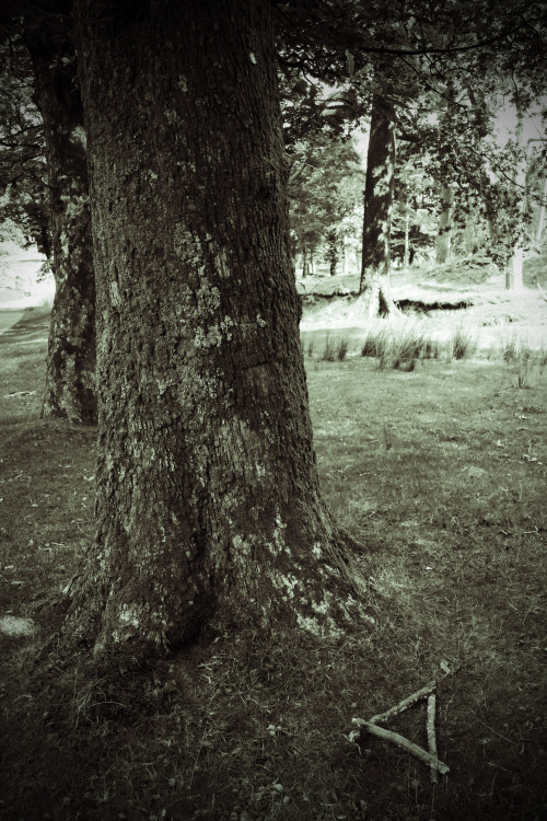 ‘The Graeae’ Witch Markers through the Trough of Bowland, Immersive Theatre Developmental Work, 17.8