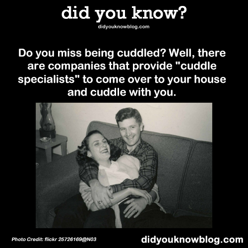 did-you-kno:  Do you miss being cuddled?  Well, there are companies that provide