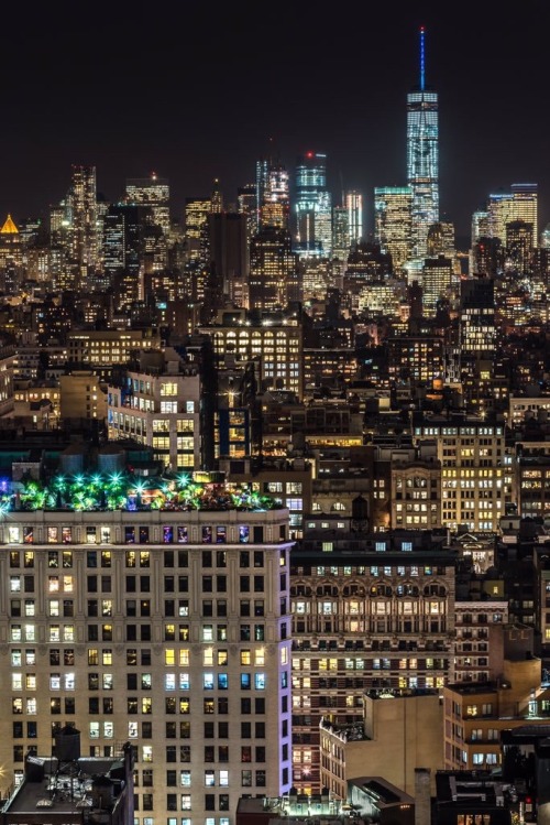 newyorkcityfeelings: Bright Lights, Big City - view of @OneWTC by @javanng