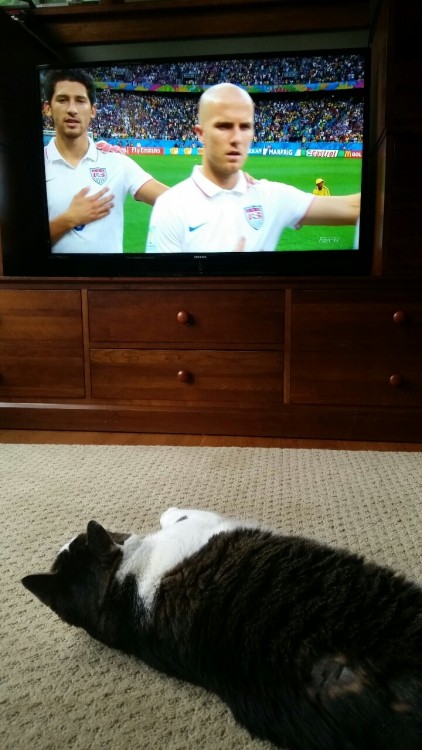 Murphy meowed along to the US national anthem. He believes that we will win!