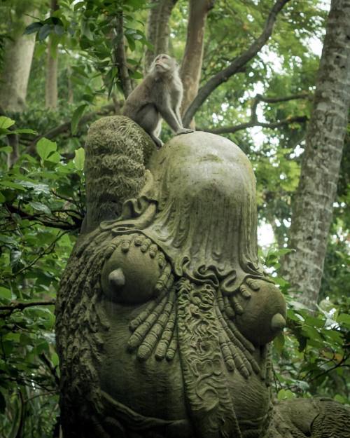 payammontazami:  This is just one of the crazy statues you’d run into the monkey forest in Ubud, Ind
