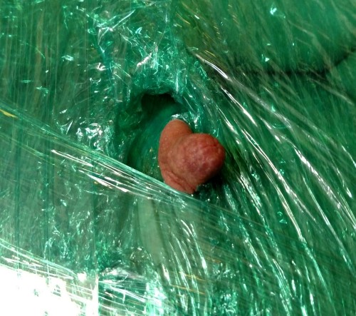 mycheekypet: After wrapping Pet in saran wrap, I peeled away layers and her nipples popped out. I us