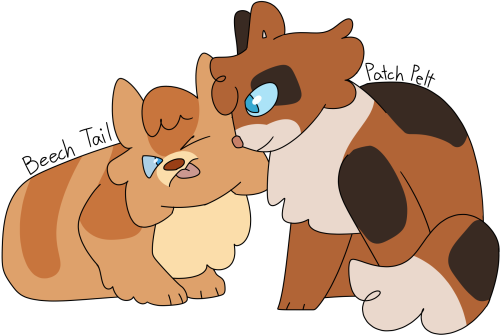 Patch Pelt: “I&rsquo;m the biggest and strongest!”Beech Tail: “I&rsquo;m stronger than you! You&rsqu