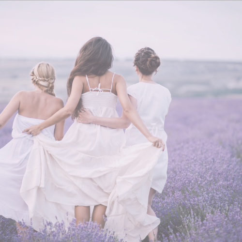 saintophelia:lavender wlw moodboard