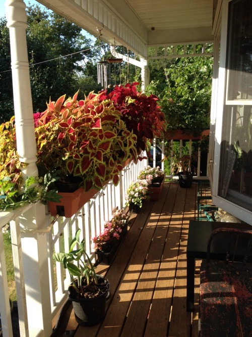 nyackbackyard:Our front porch is so colorful this summer because of the loopback watercontroller Dun