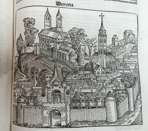 msulconservationlab: The Nuremberg Chronicle (1493) is renowned for its fantastic woodcut illustrat