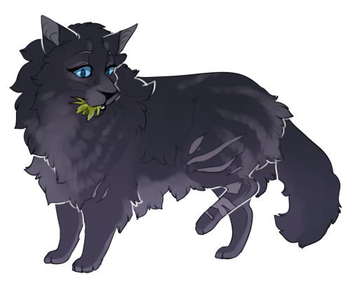 lesbianfactory: kingmynx: 100 WARRIOR CATS CHALLENGE #12 - Cinderpelt @creeping-babby