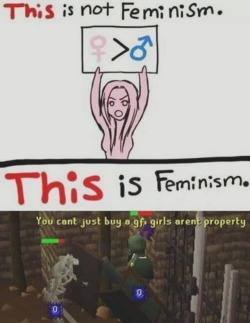 datcatwhatcameback:Sure, but that second panel is not the cultural standard in the United States, Canada or many other first world nations. The term Feminist in this culture has been usurped by SJW misandrists who have no real problems but still want