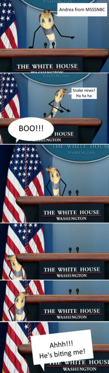 White House Press Snekretary