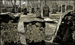 z0mbi3-s0krat3s:  Cool, artistic cemetery photos. 