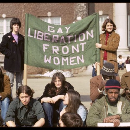 &ldquo;Gay Liberation Front Women,&rdquo; March on Albany, State Capitol, New York, March 14, 1971. 