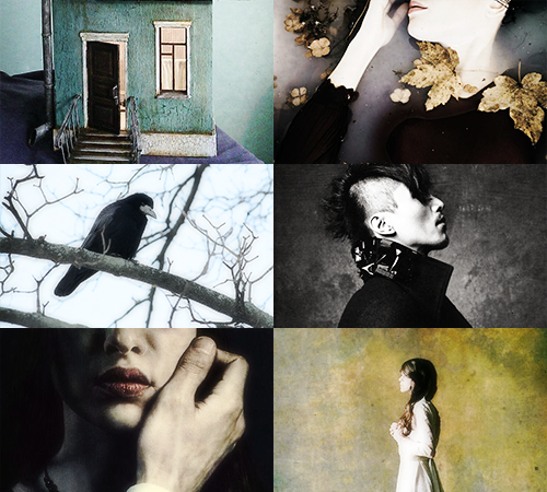 I Am A Demanding Creature. I Am Selfish And Cruel And Extremely Unreasonable. But I Am Your Servant.