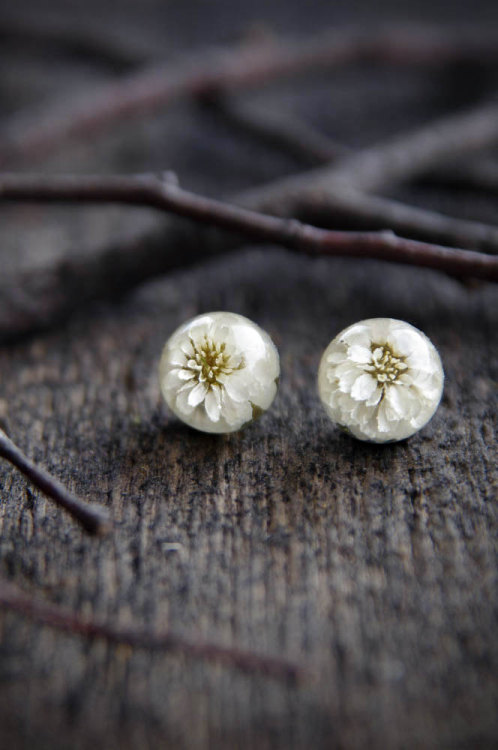 culturenlifestyle:Adorable Handmade Jewelry with Real Plants Inside by Ural Nature Married couple Ma