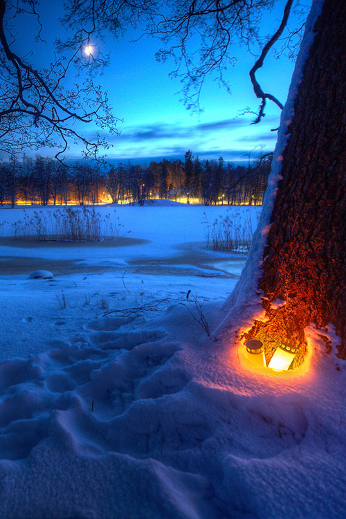 kingxen:  obscvred: Source | Photographer http://philotheoristic.tumblr.com/post/106486986934