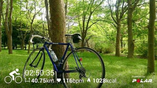 papa-n: 森林浴 #自転車 #ロードバイク #サイクリング #パナモリ #クロモリ #polar #bicycle #roadbike #cycling (大泉緑地)