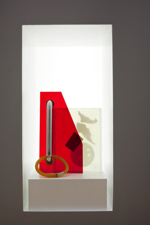 Anicka Yi The Easy Way to Quit New York (2013) plexiglass, stainless steel shower handle, vinyl tubi