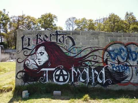 “Libertad Tamara / Free Tamara” Chile: Anarchist Prisoner Tamara Sol Denied Conditional FreedomCompa