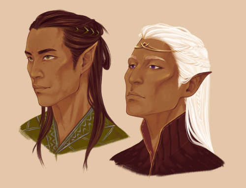 janisjoy:Something in between commissions. A bunch of portraits I sketched for our Tal’dorei D&amp;D