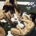 kourosart:Robert C. Rore. The Glass Bead Players.