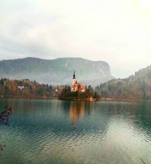 Bled lake