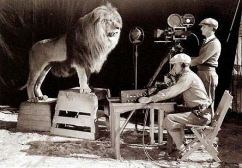 Shooting Leo the Lion for the MGM Logo, 1924