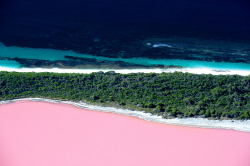 pixieatheart:  shermans-travel:  Lake Hillier,