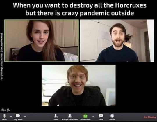 Harry Potter Hermione Memes