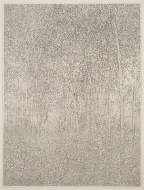 Richard Claude Ziemann - Back Woods (Triptych)(1971-1976)