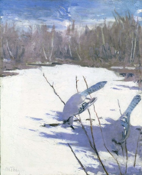 Title: Blue Jays in Winter, study for book Concealing Coloration in the Animal KingdomArtist: Abbott