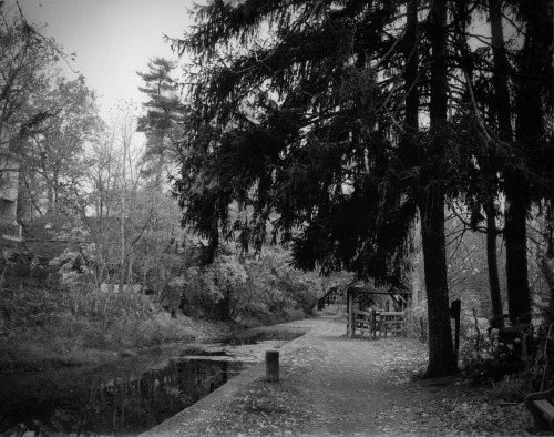 gnoleiramanna:  Eight O’Clock on the Towpath - New Hope, PA Pentax K1000 - Arista Edu Ultra 400