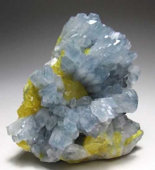 mineralists:  Celestite with Sulfur adult photos