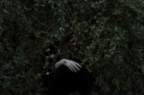 eikadan: Tangled lifeCristina Coral