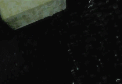 emilycaldwin:  Welcome to Rapture! 