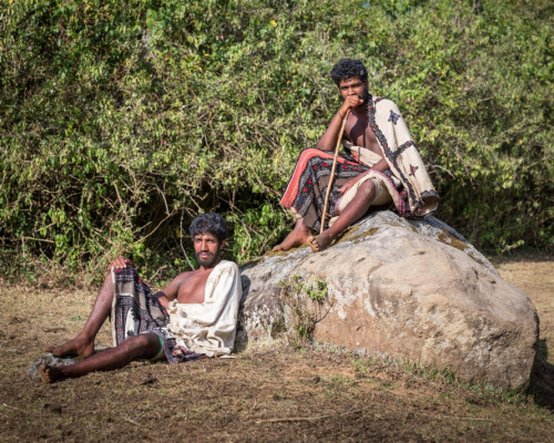 Todas, Nilgiri Mountains of Tamil Nadu, photos by Kevin Standage, more at https://kevinstandagephoto